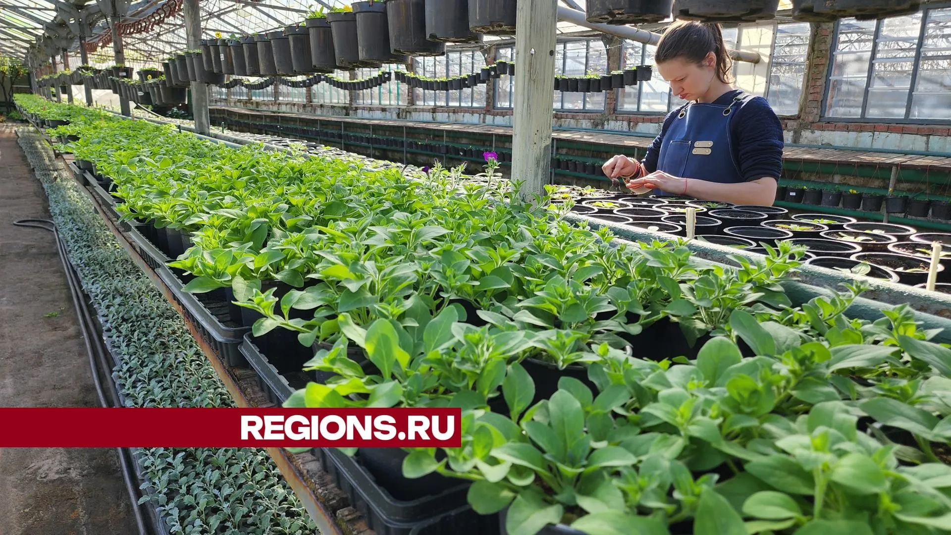 Фото: Юлия Андросова