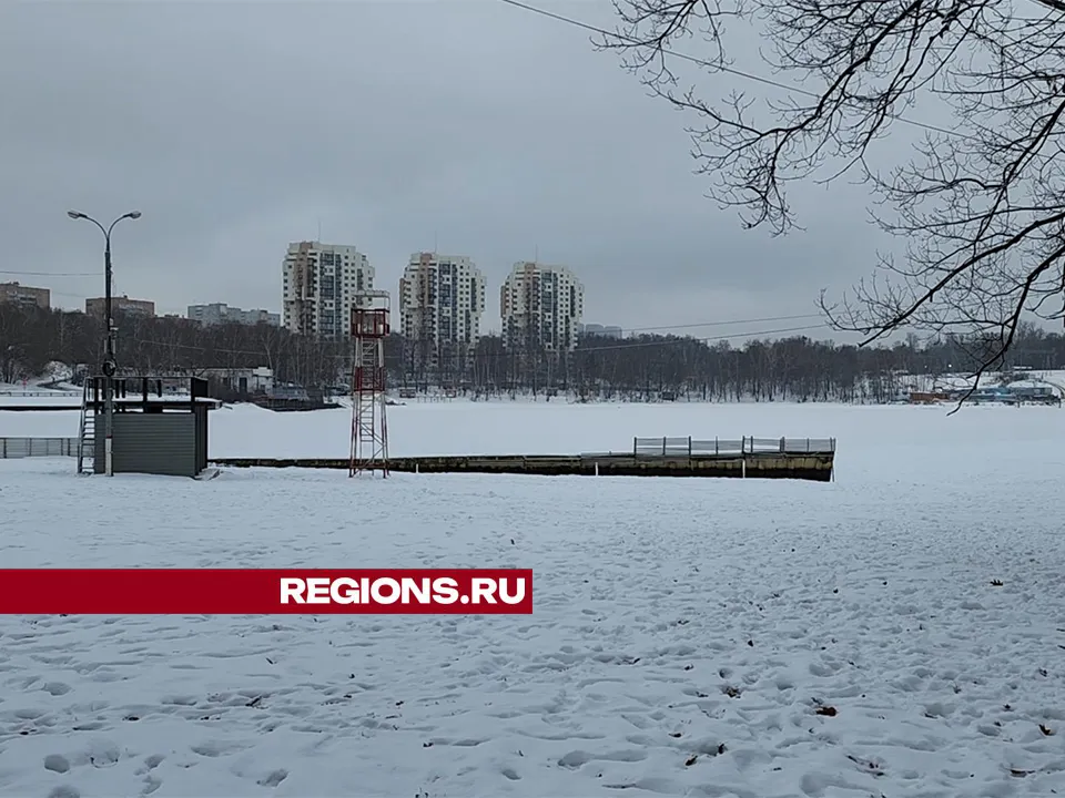 Фото: Иван Чижов