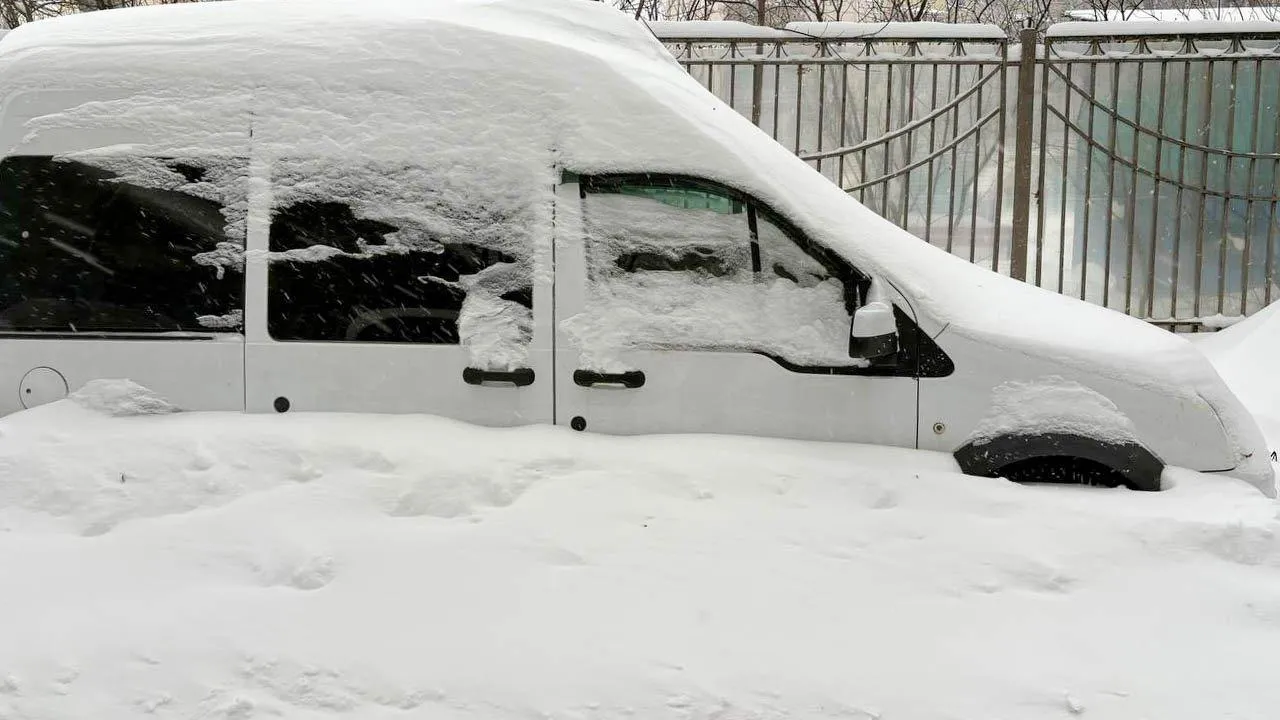 REGIONS/Роман Малышенко