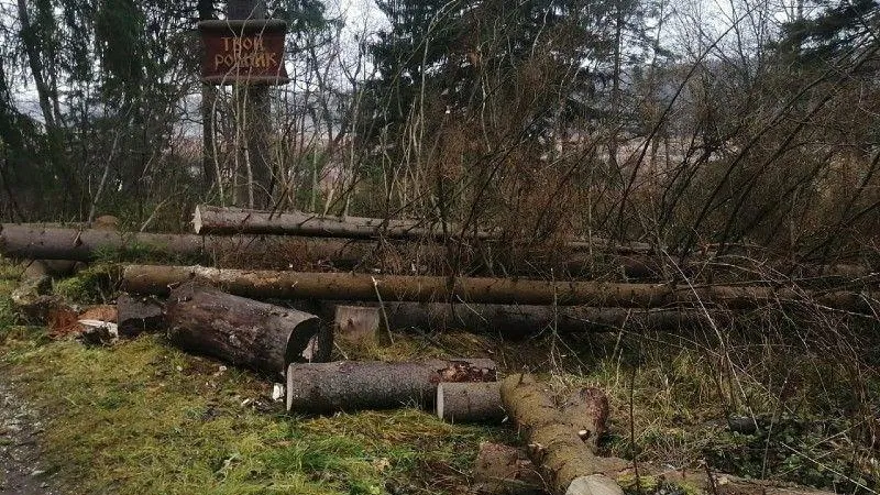 Пресс-служба администрации Дмитровского городского округа