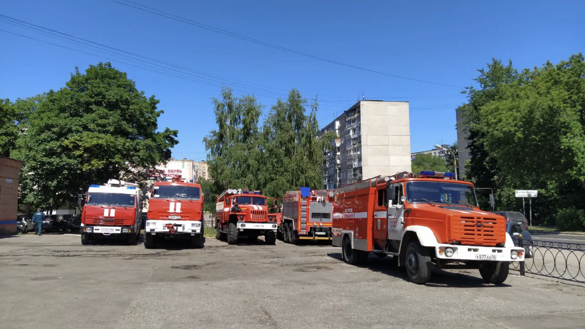 фото: Елена Магаляс