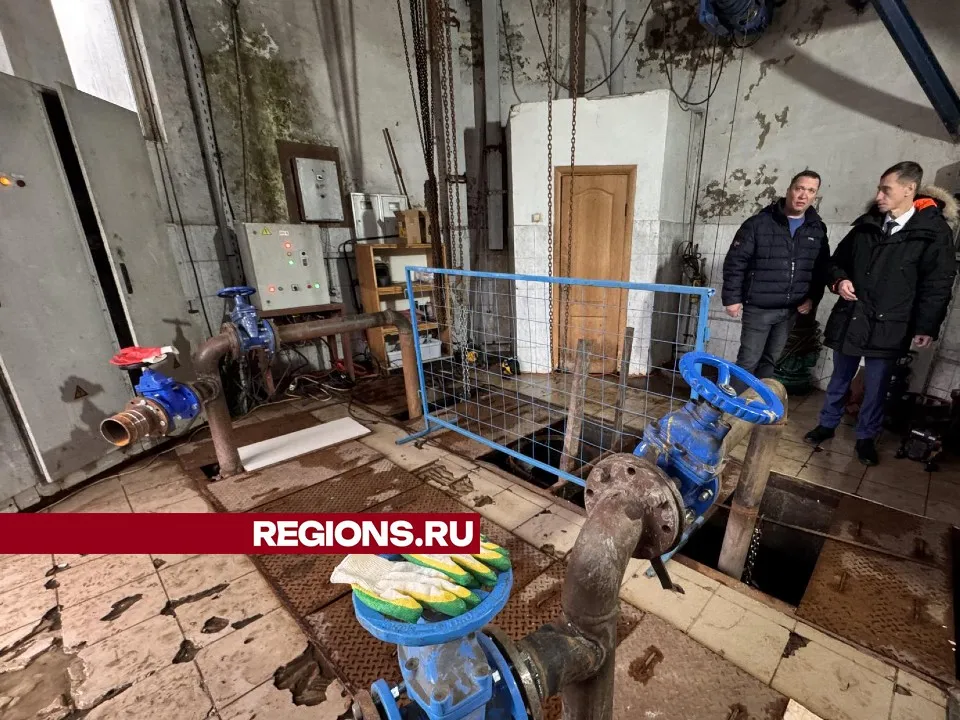 Фото: Мария Шматкова