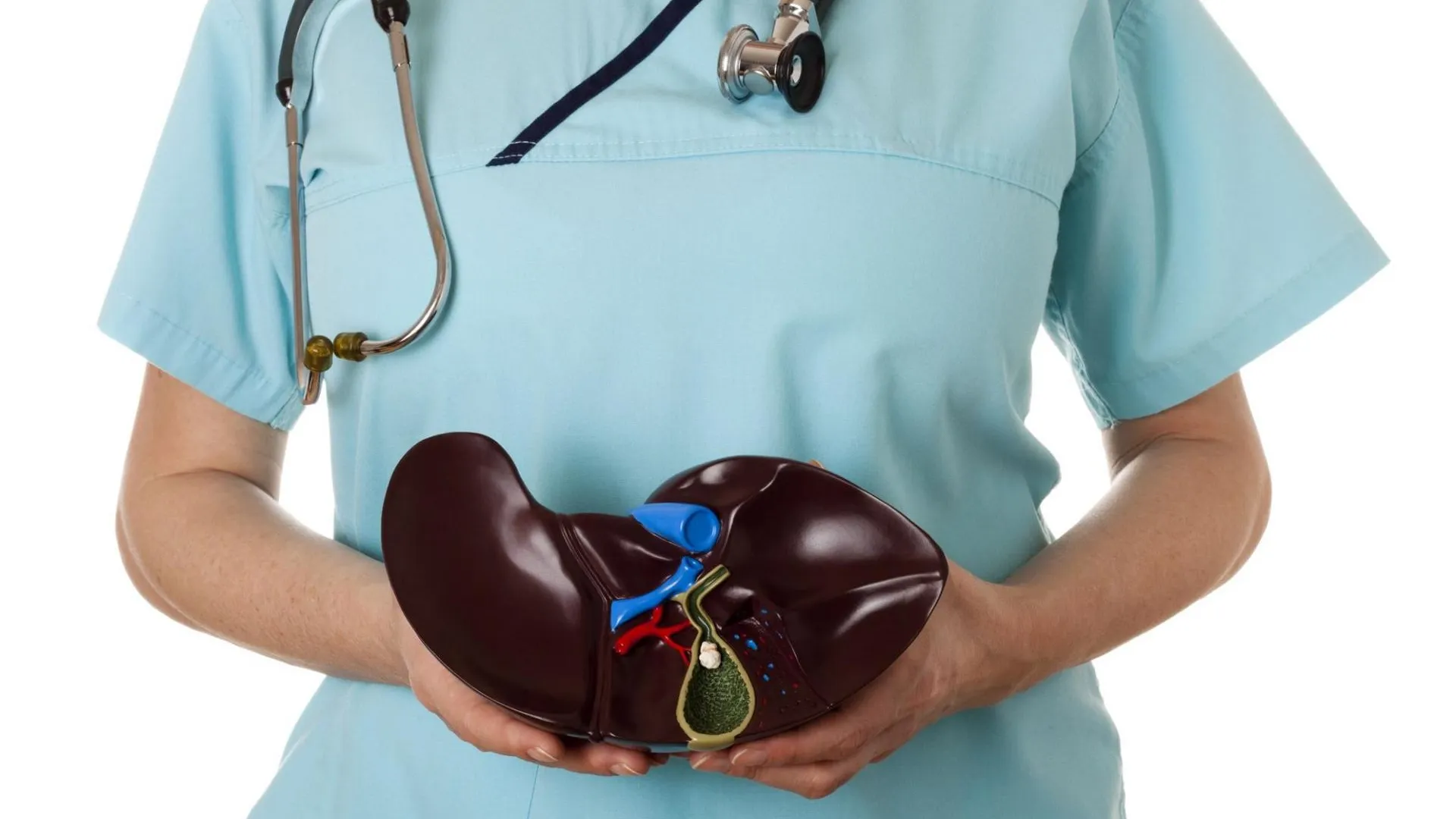 Фото: Pixabay.com