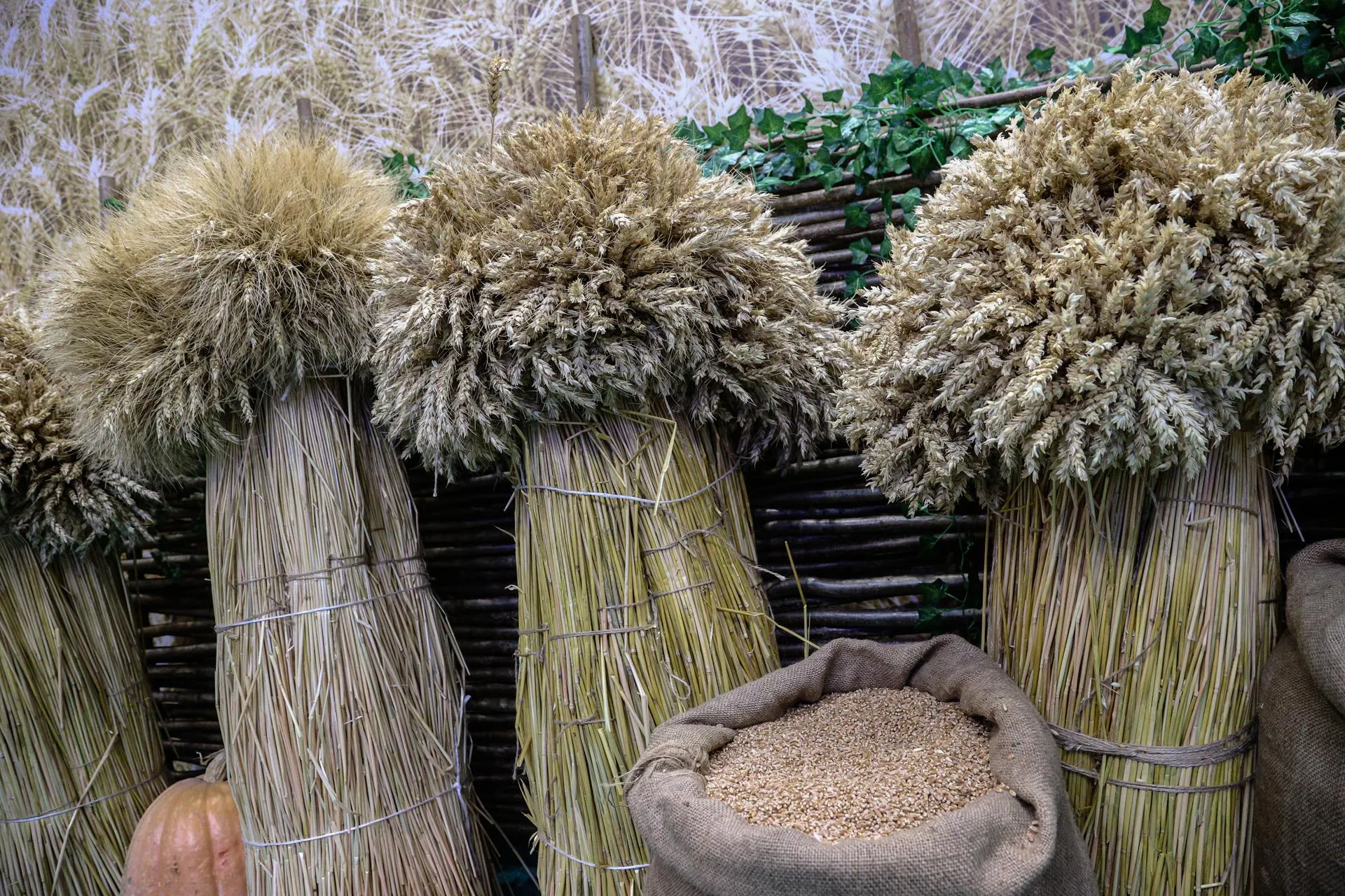 Bulkin Sergey/news.ru