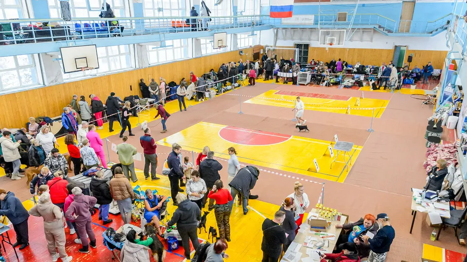 Фото: медиасток.рф