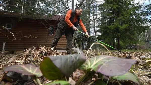 Эксперт Пименов дал советы дачникам, что следует успеть сделать до морозов