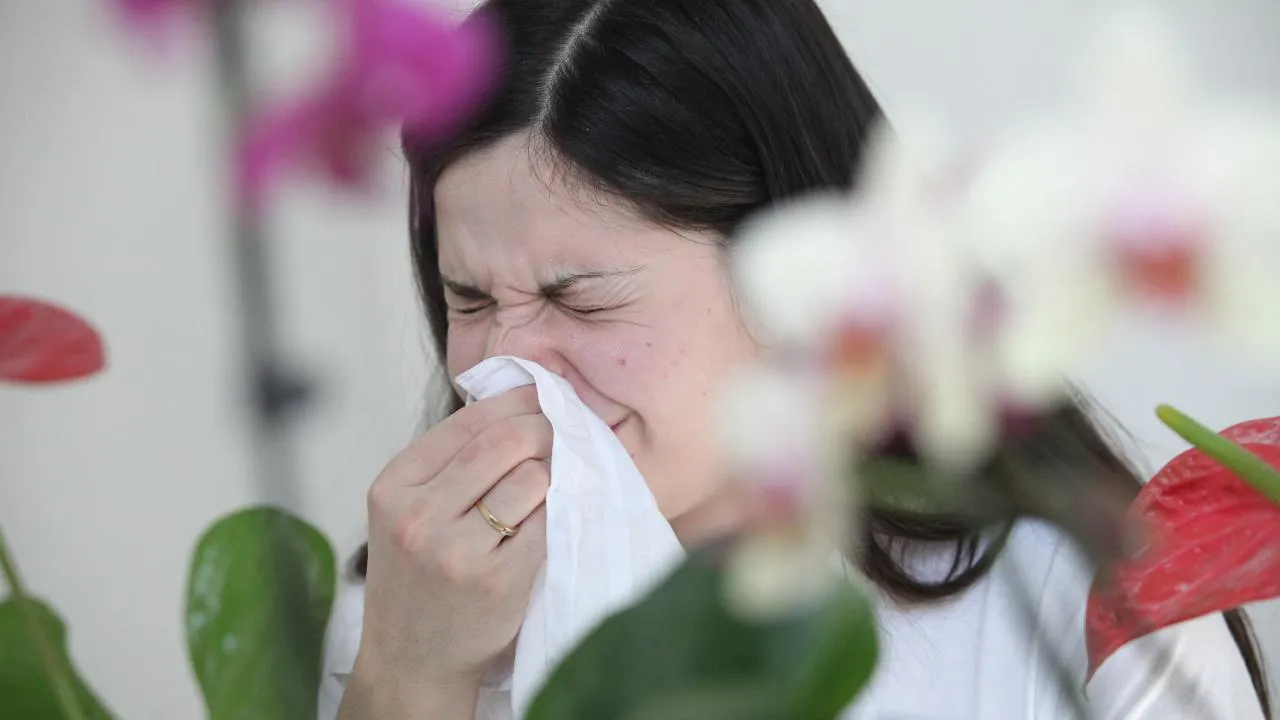 медиасток.рф