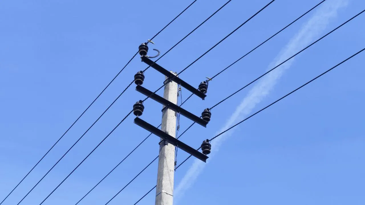 фото - Н. Надточая