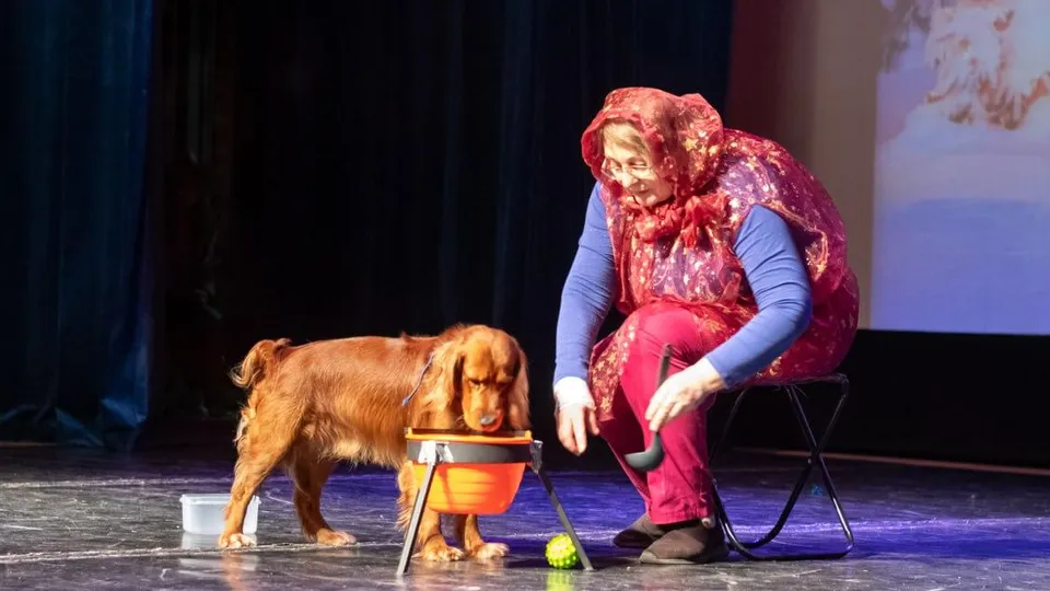 Фото: пресс-служба администрации г.о. Лыткарино