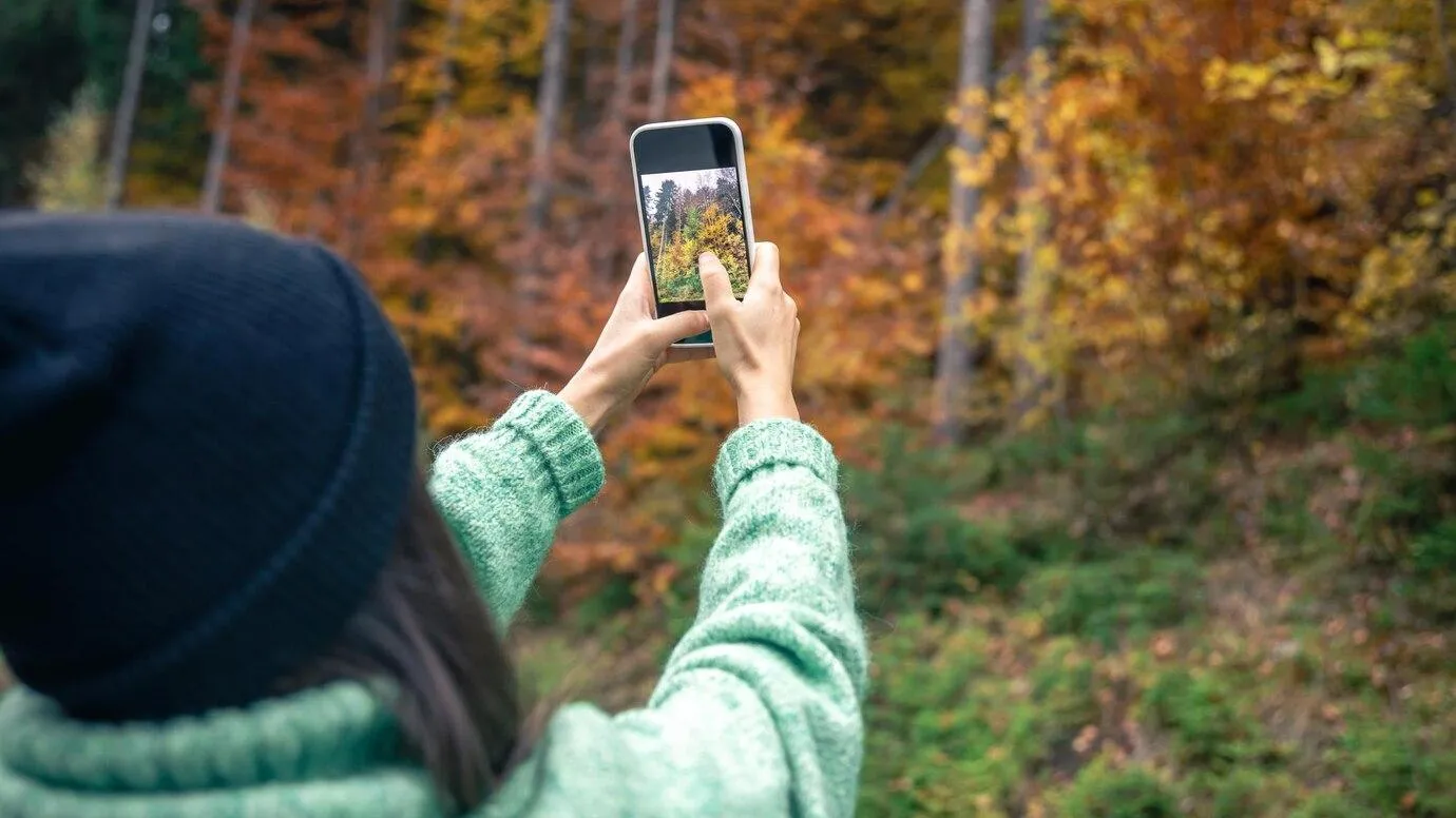 Фото взято с ru.freepik.com