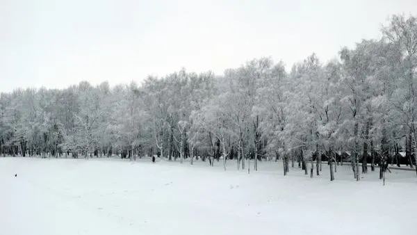 Константин Чалабов / РИА Новости