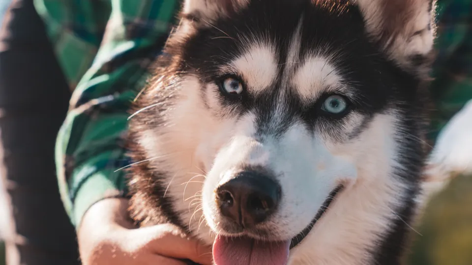 Фото: REGIONS/Наталия Надточая