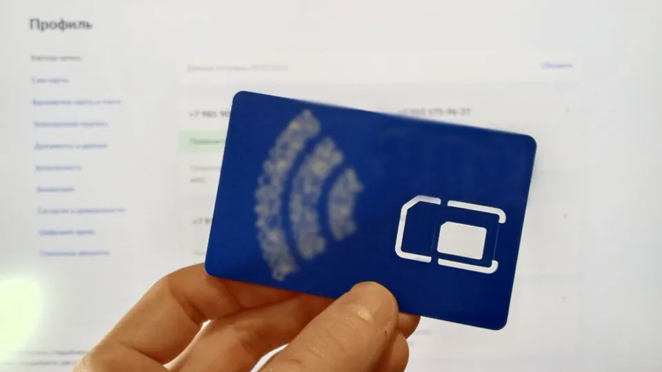 Фото: REGIONS/Василий Тремасов