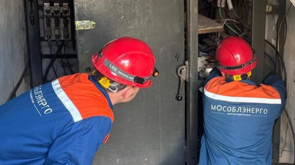 Фото: Министерство энергетики Московской области