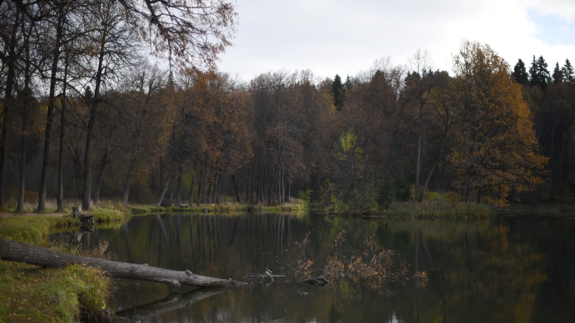 Музей-усадьба «Середниково»