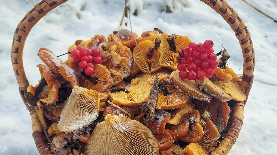 Фото: Василий Потапов