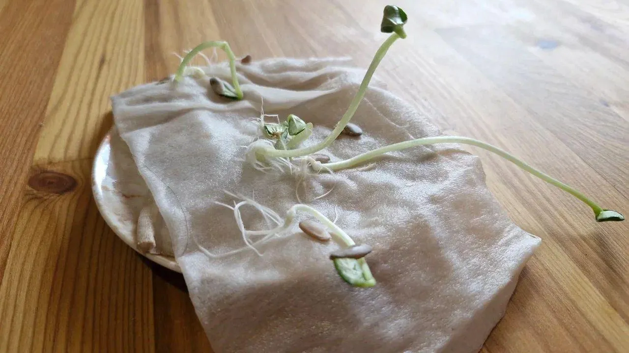 REGIONS/Наталья Надточая