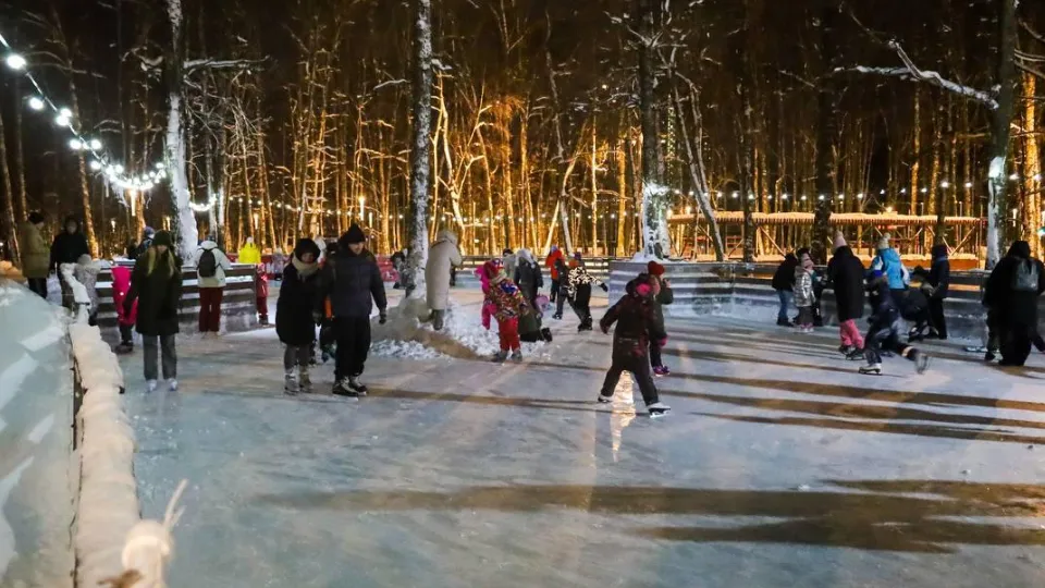 Фото: Министерство благоустройства Московской области