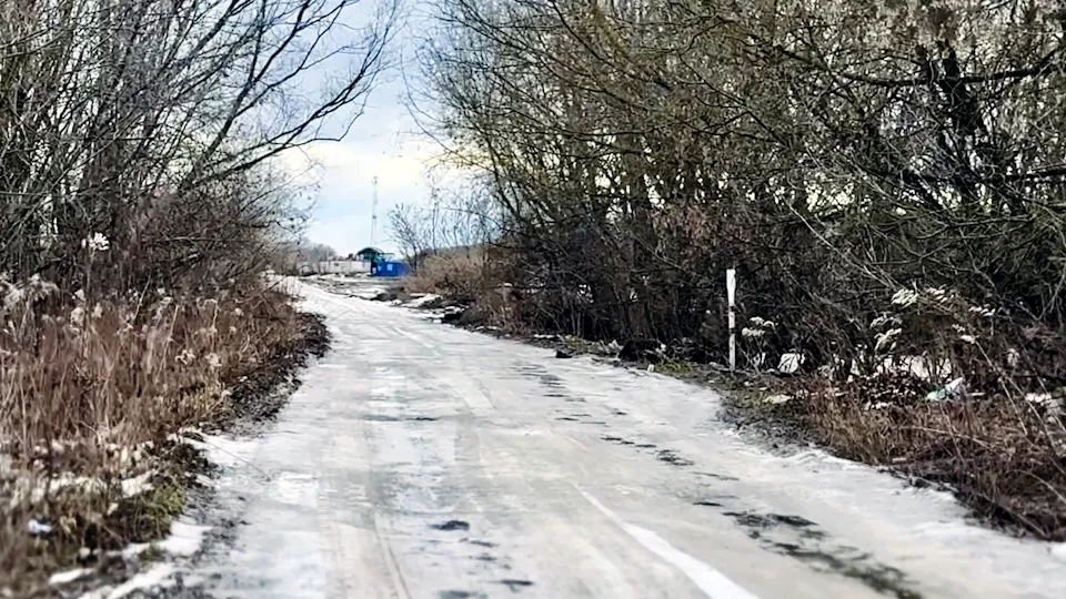 Фото: МедиаБанк Подмосковья/Ольга Стаферова