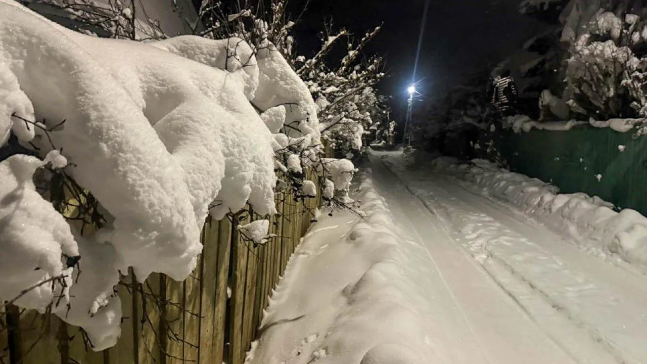 REGIONS/Анастасия Малышенко