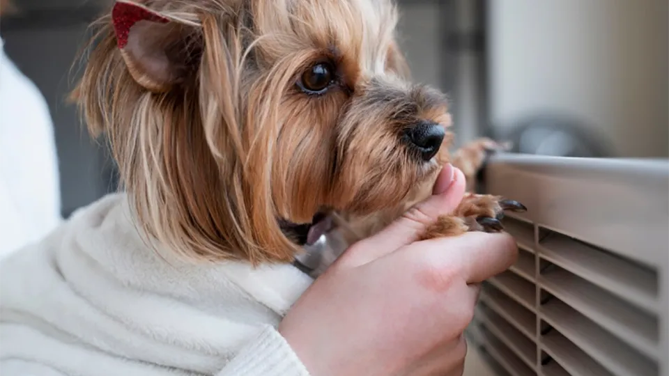 Фото: freepik.com