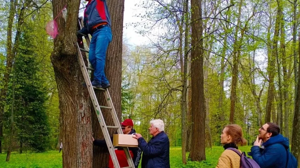 Фото: музей-заповедник «Абрамцево»