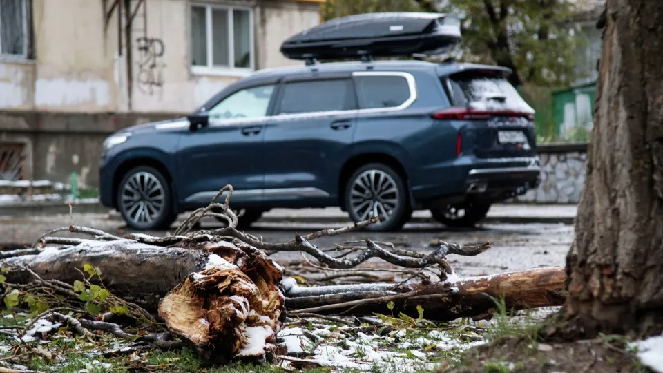 Фото: РИА Новости/Дмитрий Макеев