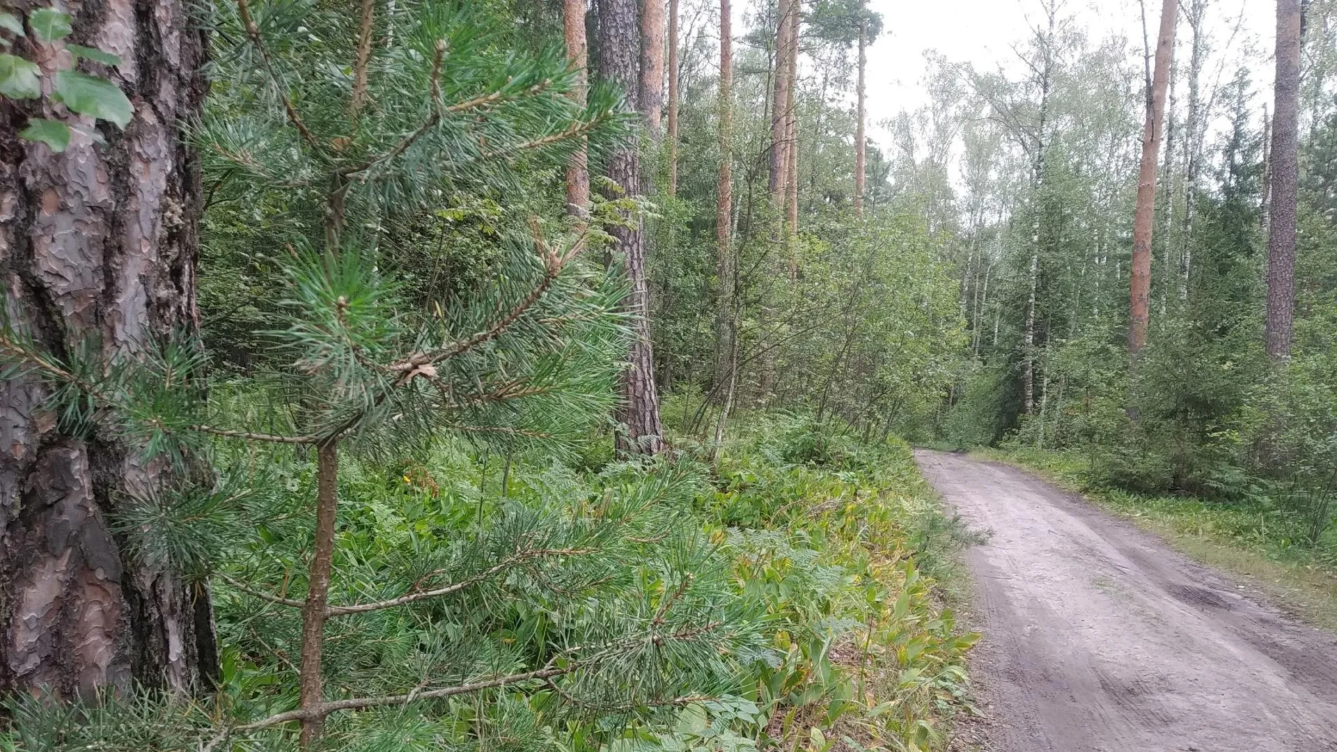 Фото: Татьяна Синельникова