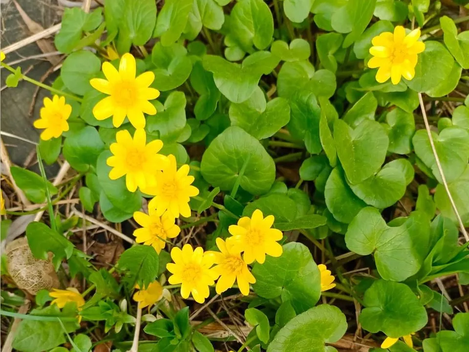 Фото: t.me/turizm_dmd