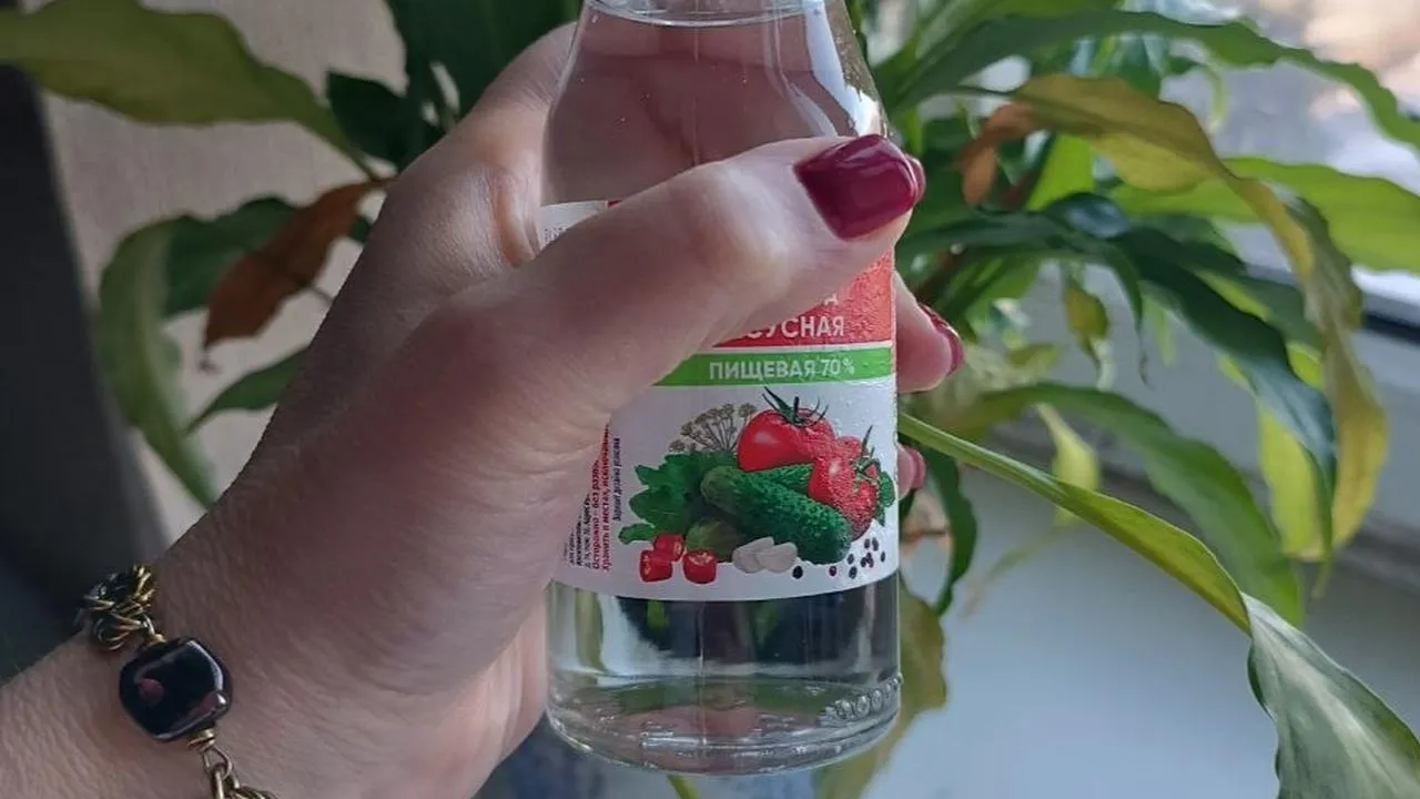 REGIONS/Наталья Фомина