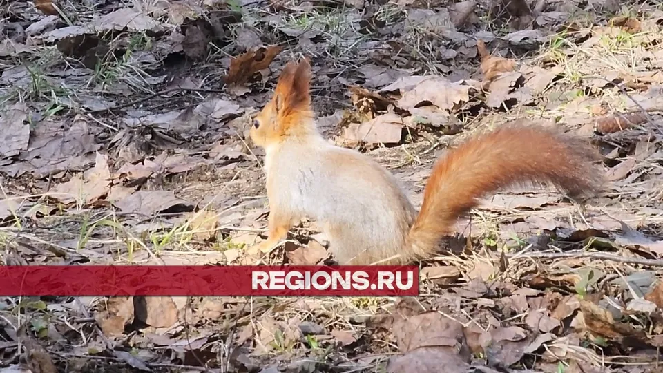 Фото: Роман Савельев