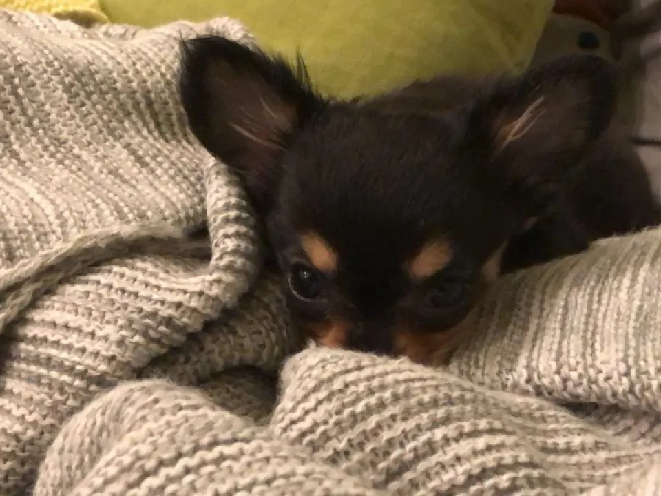 Фото: REGIONS/Илья Попов