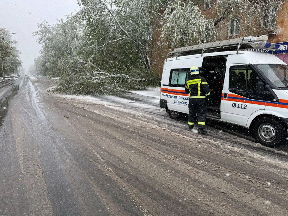 Фото: пресс-служба администрации г.о. Щелково