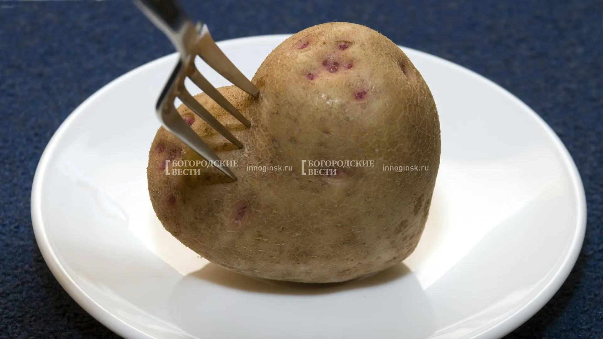 Фото: Александр Легкий