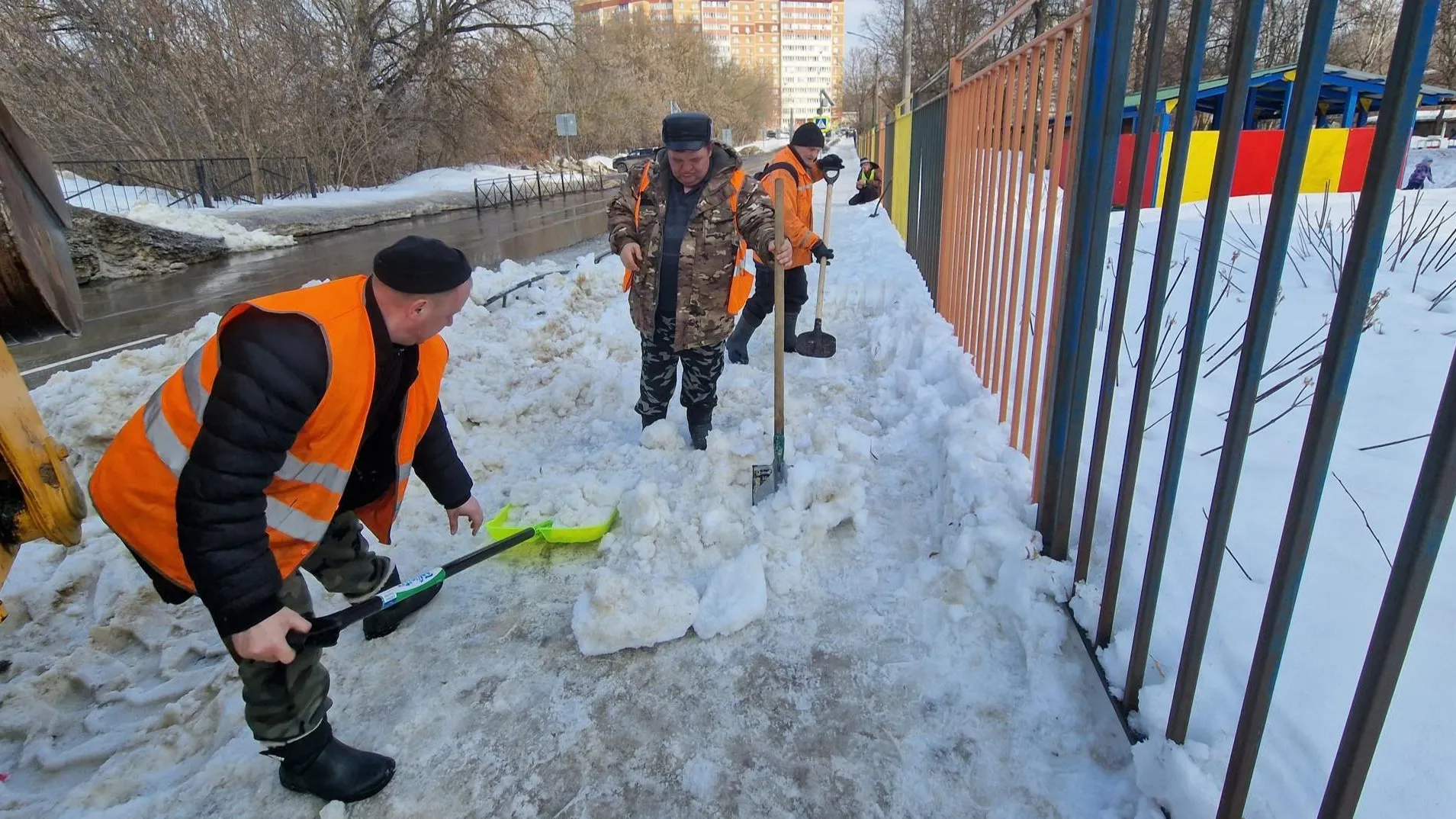 REGIONS/Ольга Шаронова