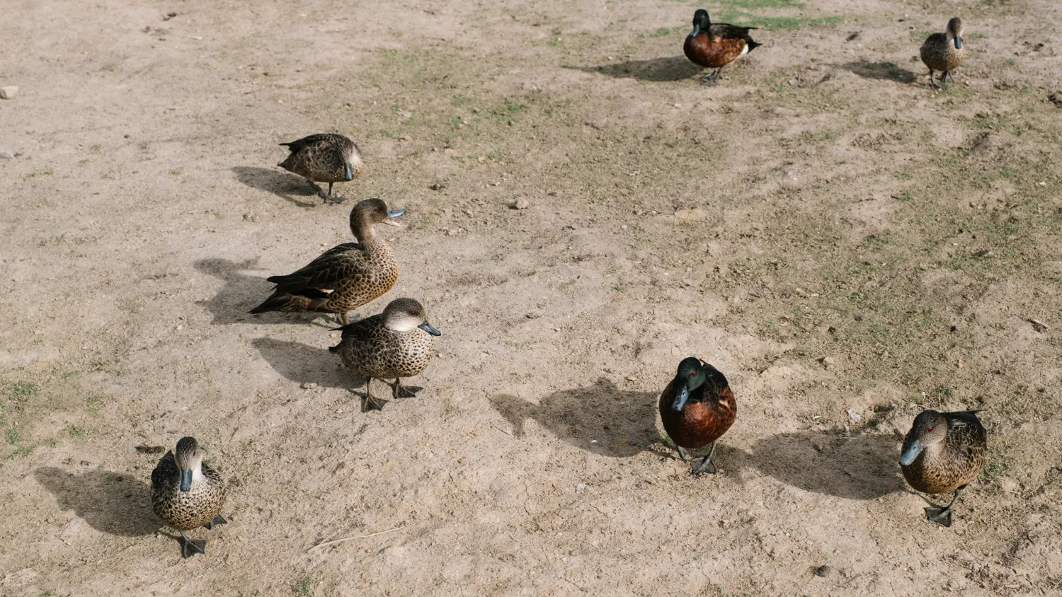 Фото: freepik.com