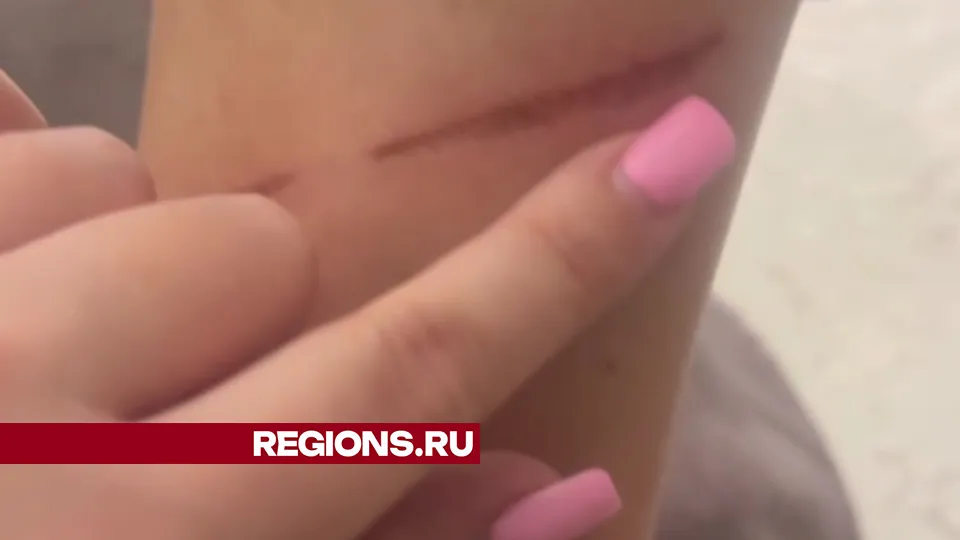 Фото: REGIONS