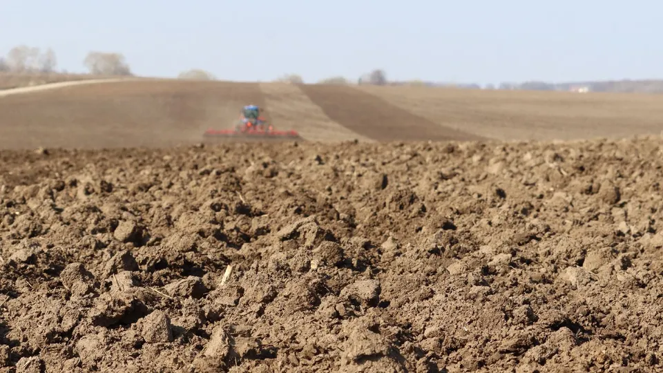 Фото: Ирина Матвеева