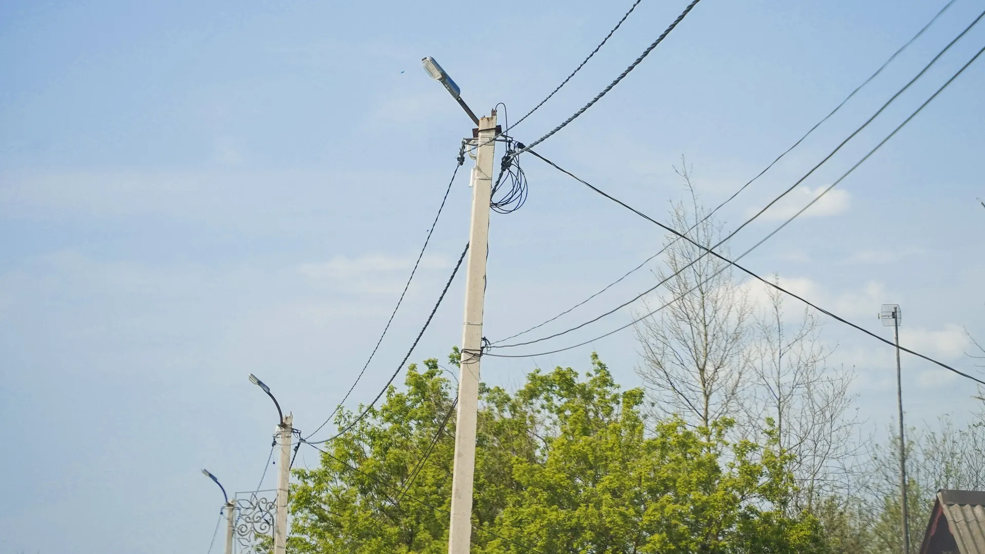 Фото: Даниил Коблов