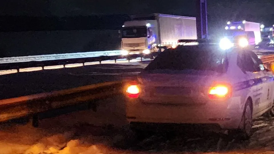 Фото: МедиаБанк Подмосковья/Андрей Семибратов