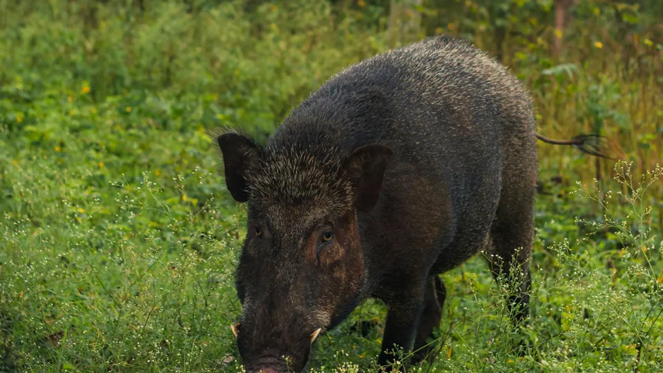 Фото: unsplash.com