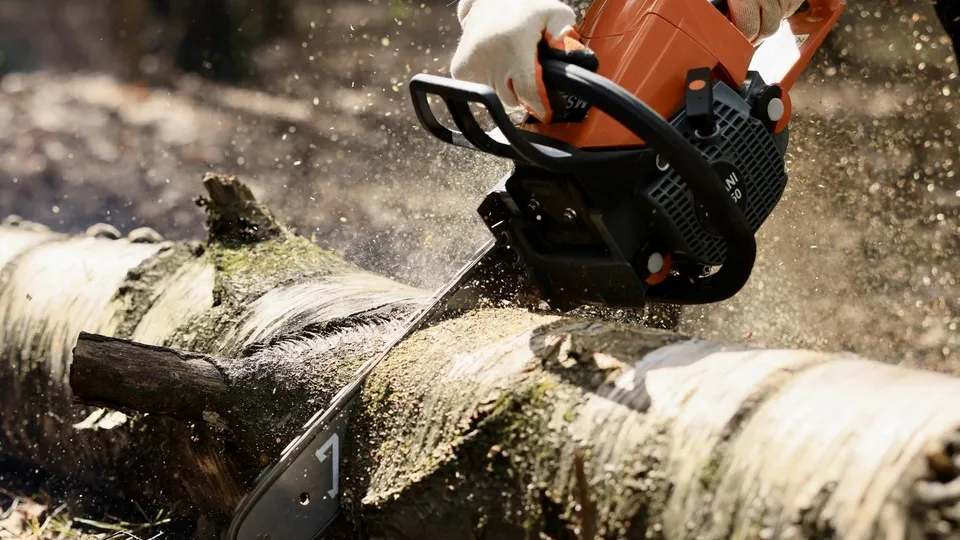 Фото: пресс-служба администрации г.о. Королев