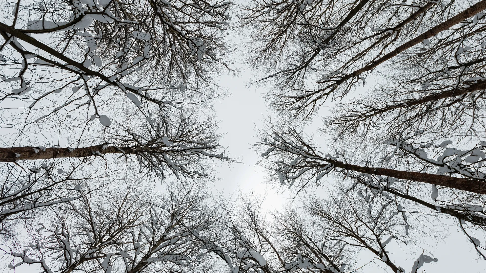 медиасток.рф