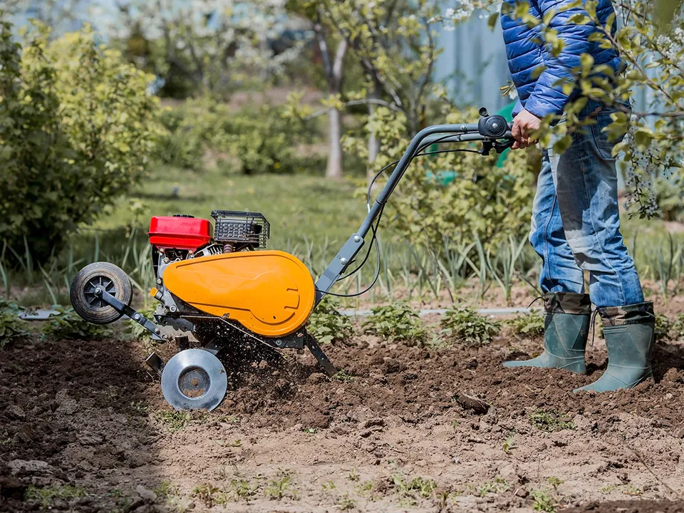 Фото: istockphoto.com