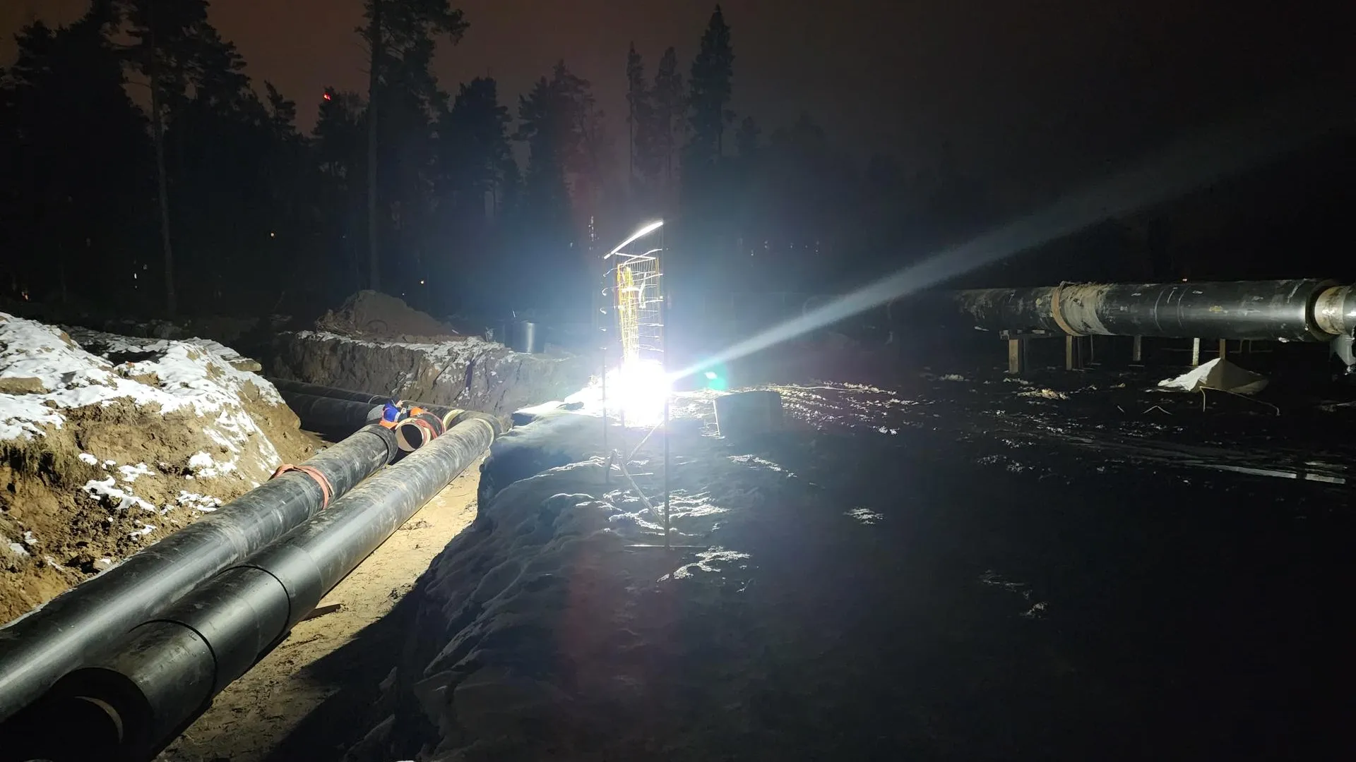 Фото: REGIONS/Иван Петрушин