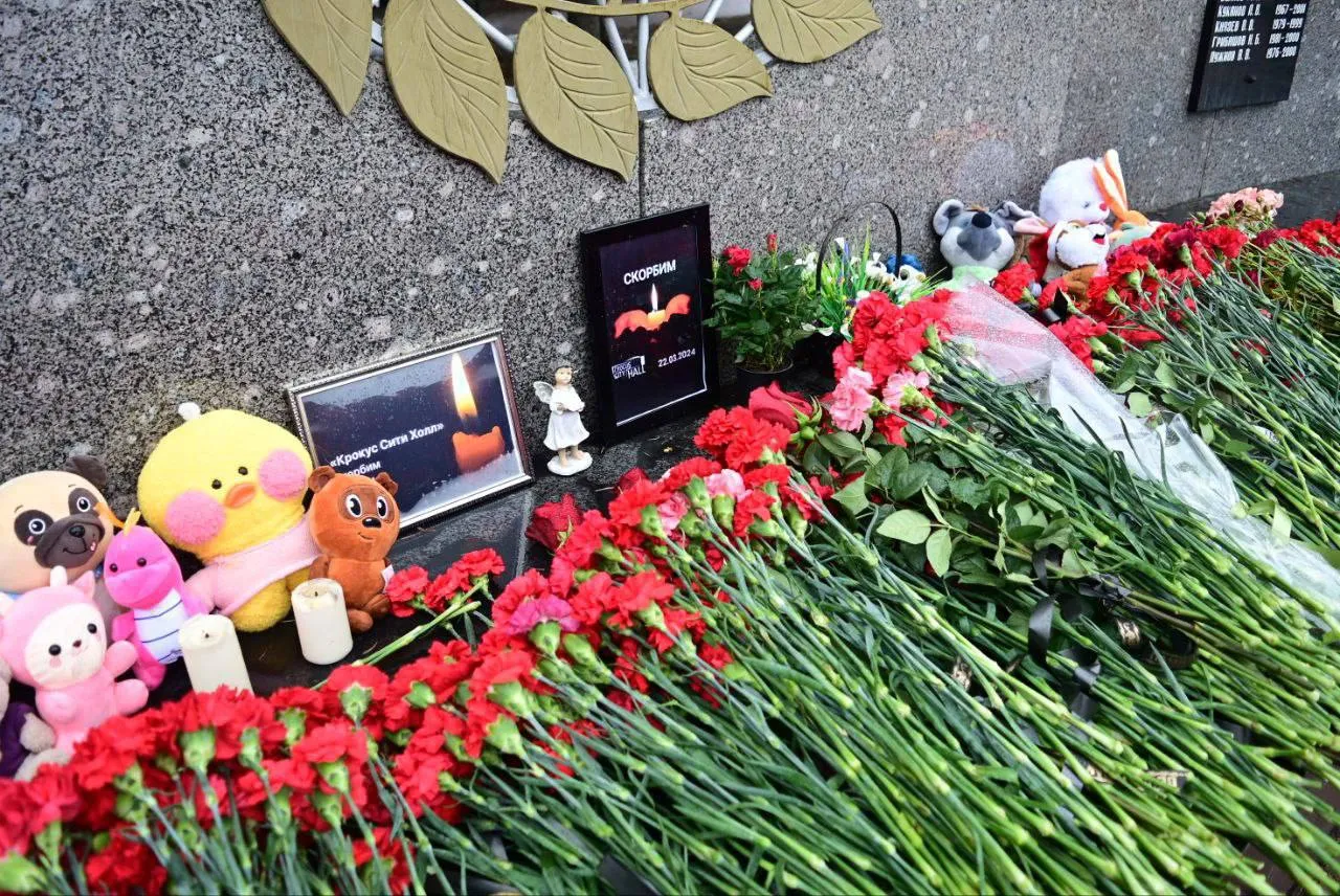 Фото предоставлено администрацией городского округа Домодедово