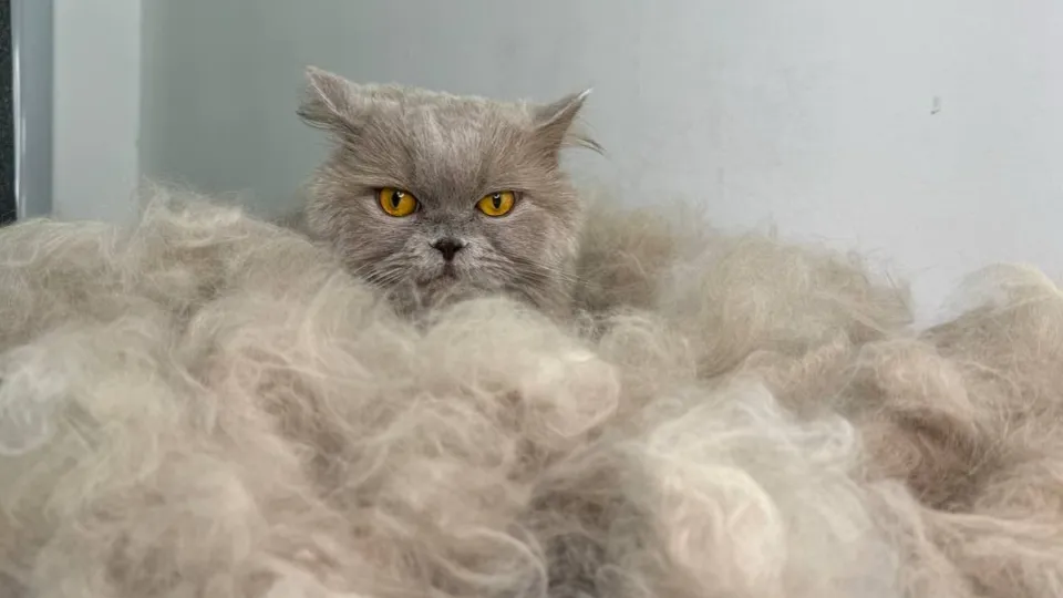 Фото: Елена Стрекалова