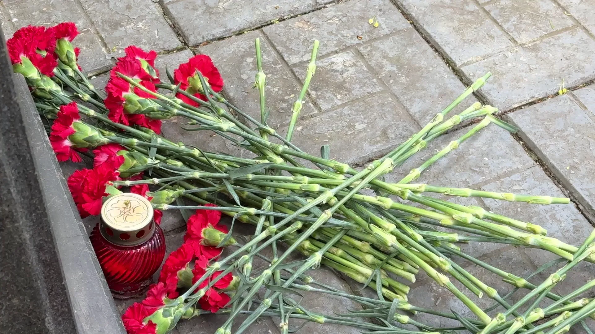 МедиаБанк Помосковья/Ксения Казакова