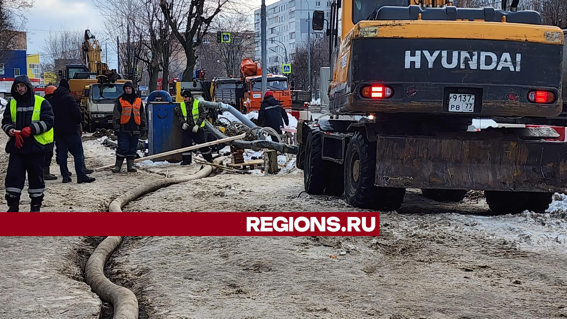 Фото: Ольга Сычева