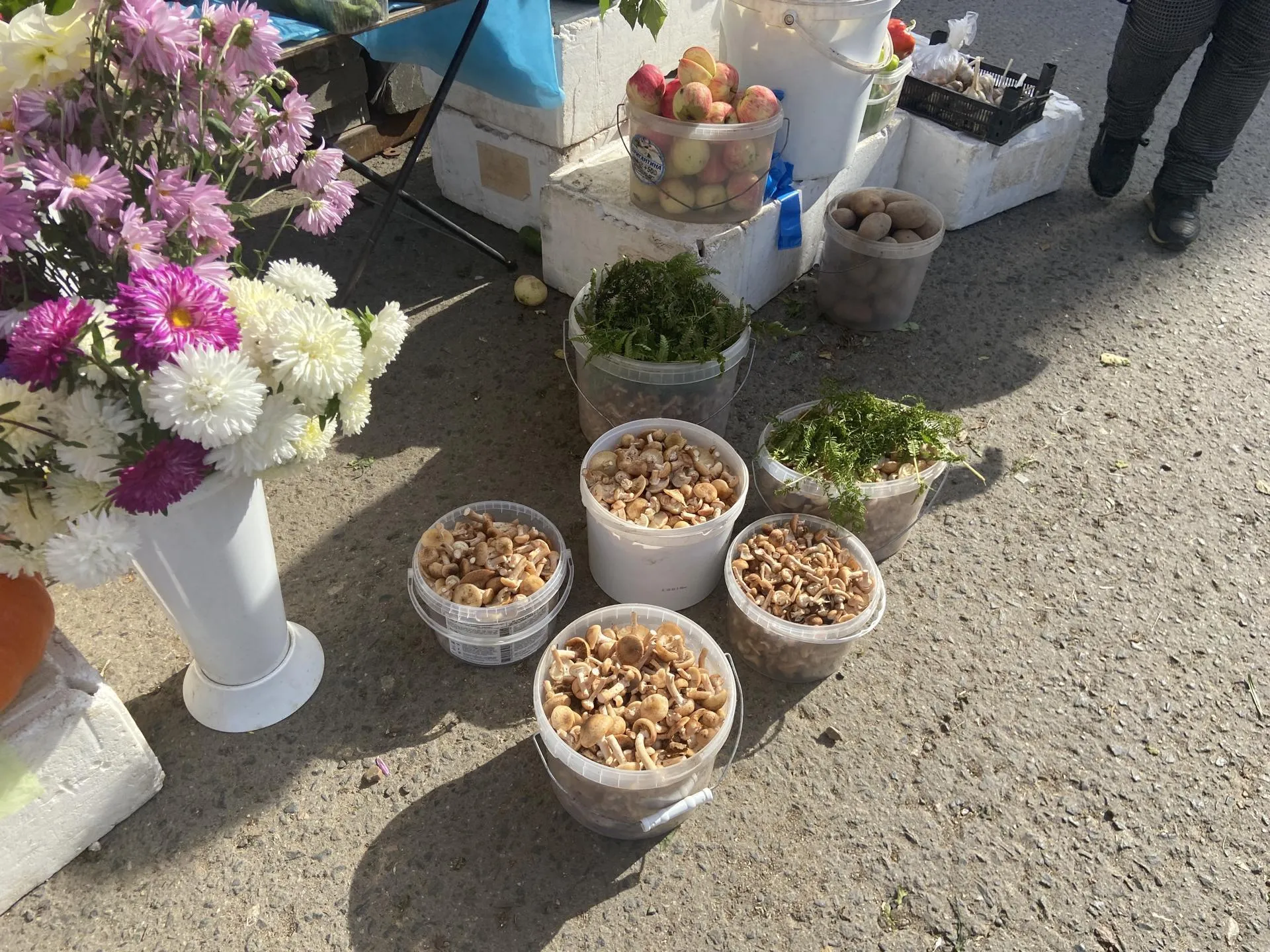 Светлана Борщева